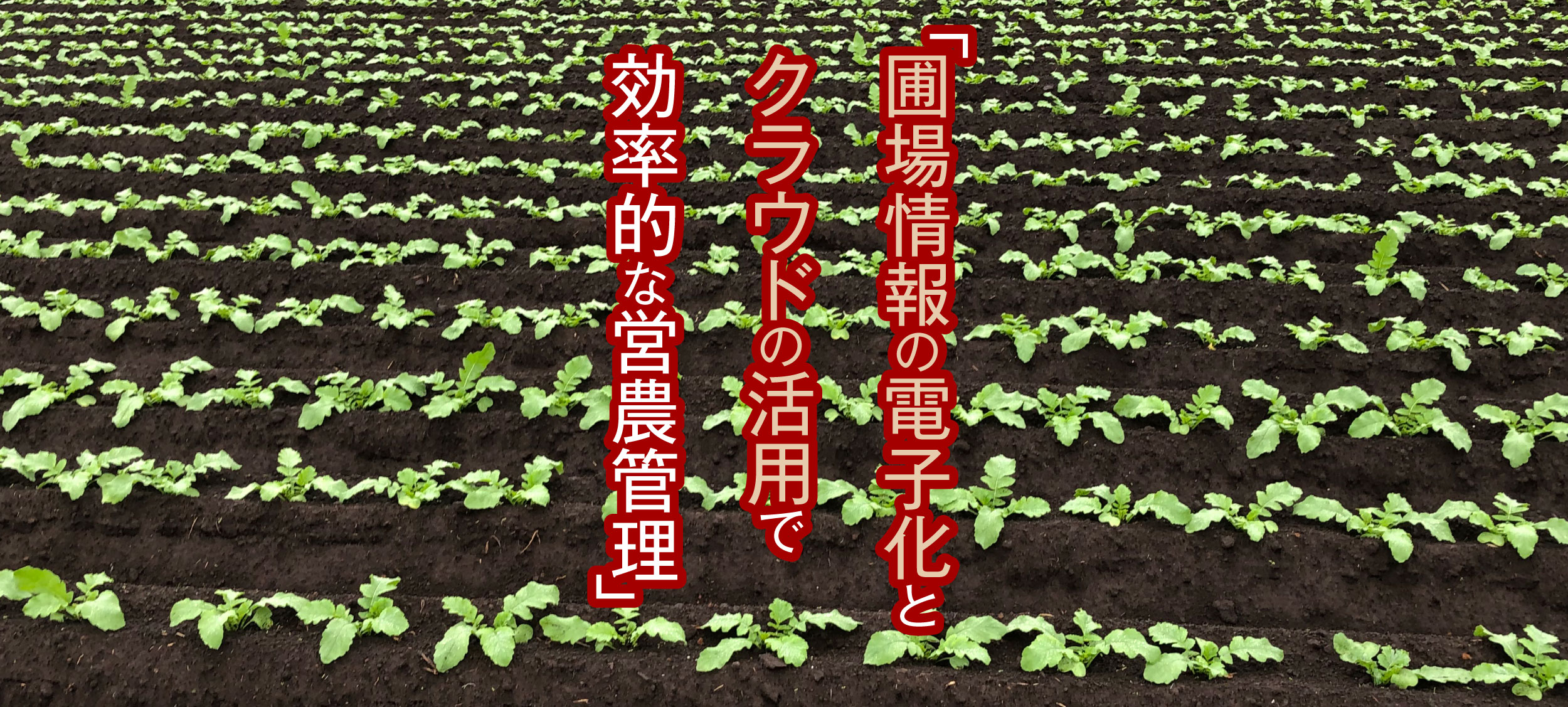 圃場情報の電子化とクラウドの活用で効率的な営農管理